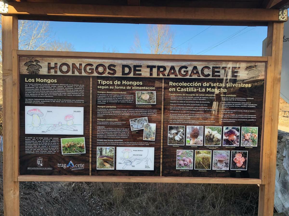 Chincha Tragacete